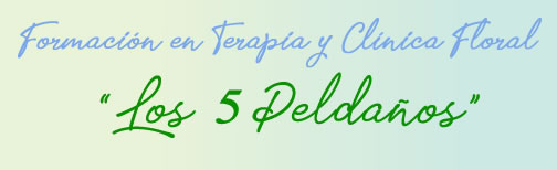 Header 5 Peldaños