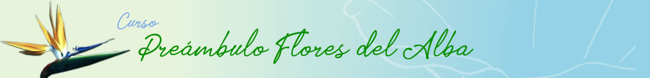 Header Preámbulo Flores del Alba